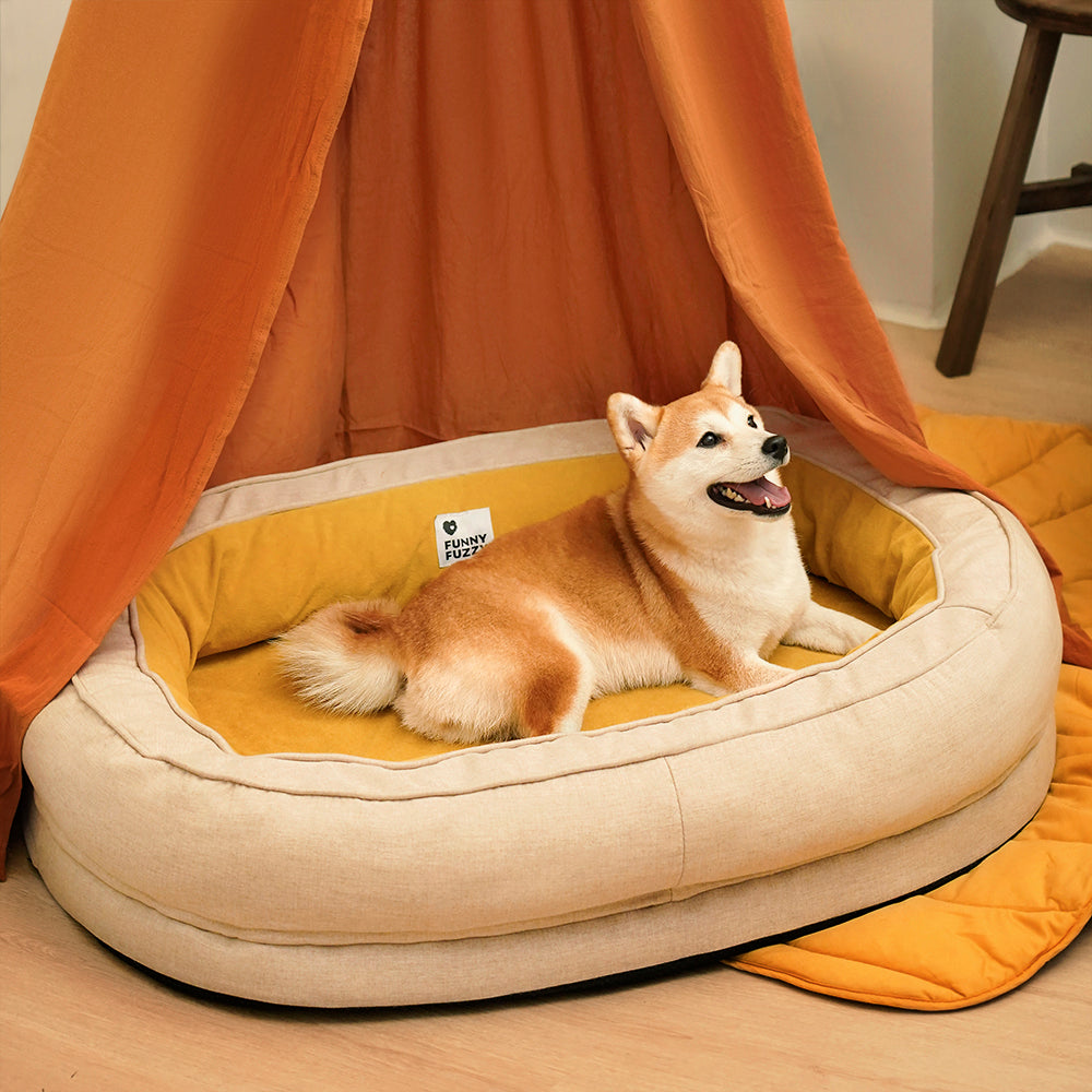 Donut Fluffy Orthopedic Dog Bed, Ginkgo Yellow - XL
