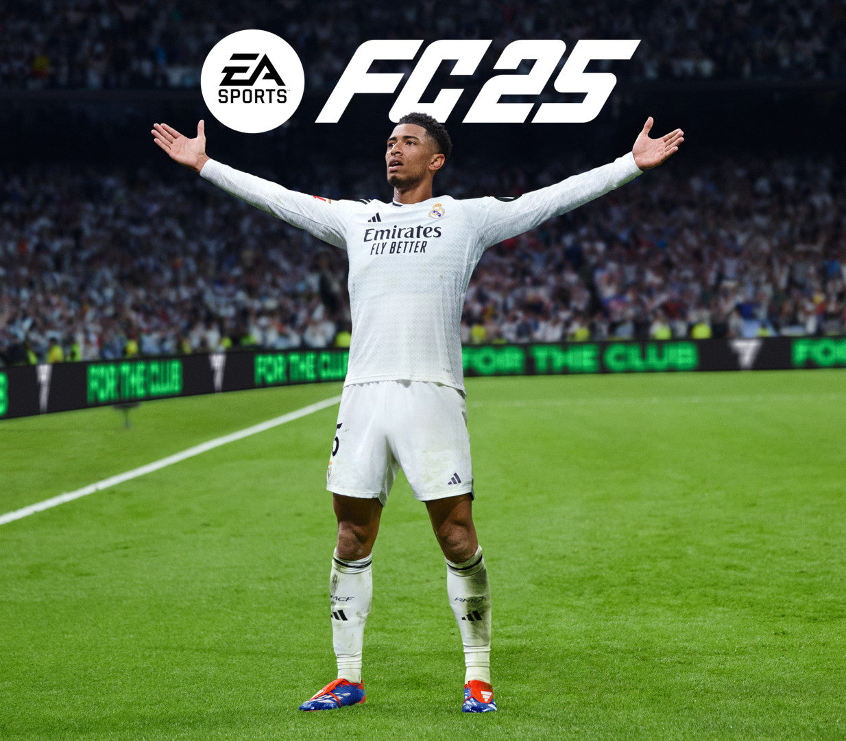 EA SPORTS FC 25 US PC Steam CD Key