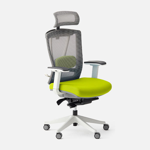 Autonomous ErgoChair Pro Ergonomic Office Chair Evergreen - Foam