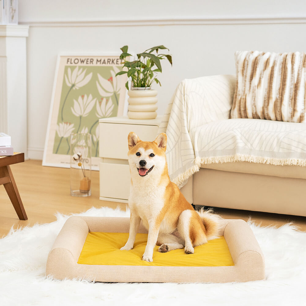 Full Support Comfortable Orthopedic Dog Bed, Ginkgo Yellow - 2XL