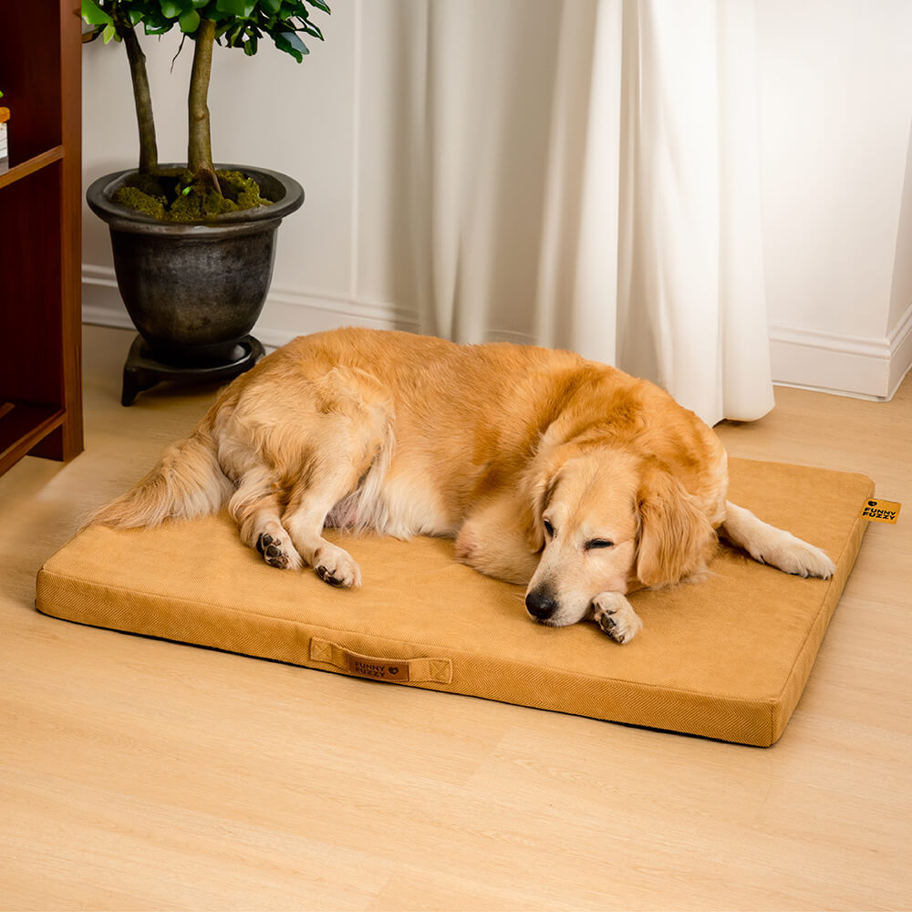 Portable Orthopedic Foam Support Bed Dog Bed, Brown - XL