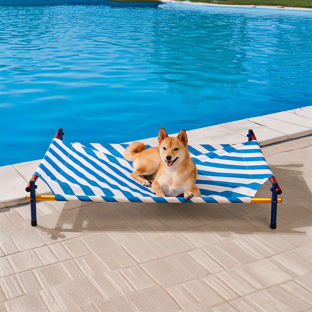 Vibrant Summer Print Style Aluminum Elevated Dog Bed - Summer Paradise, Blue Stripe - M
