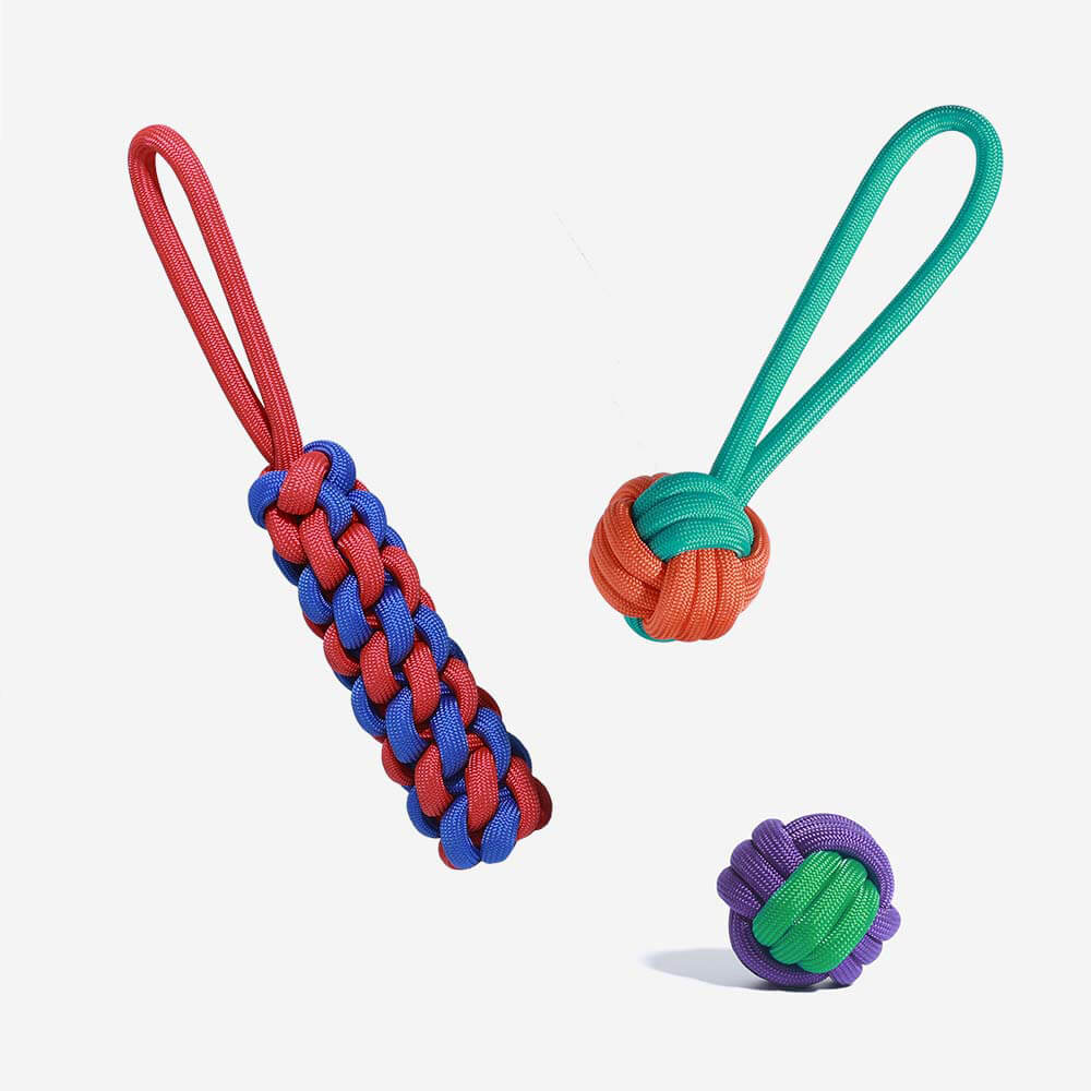 Knots Rope Dog Toy Set - Color Clash, A