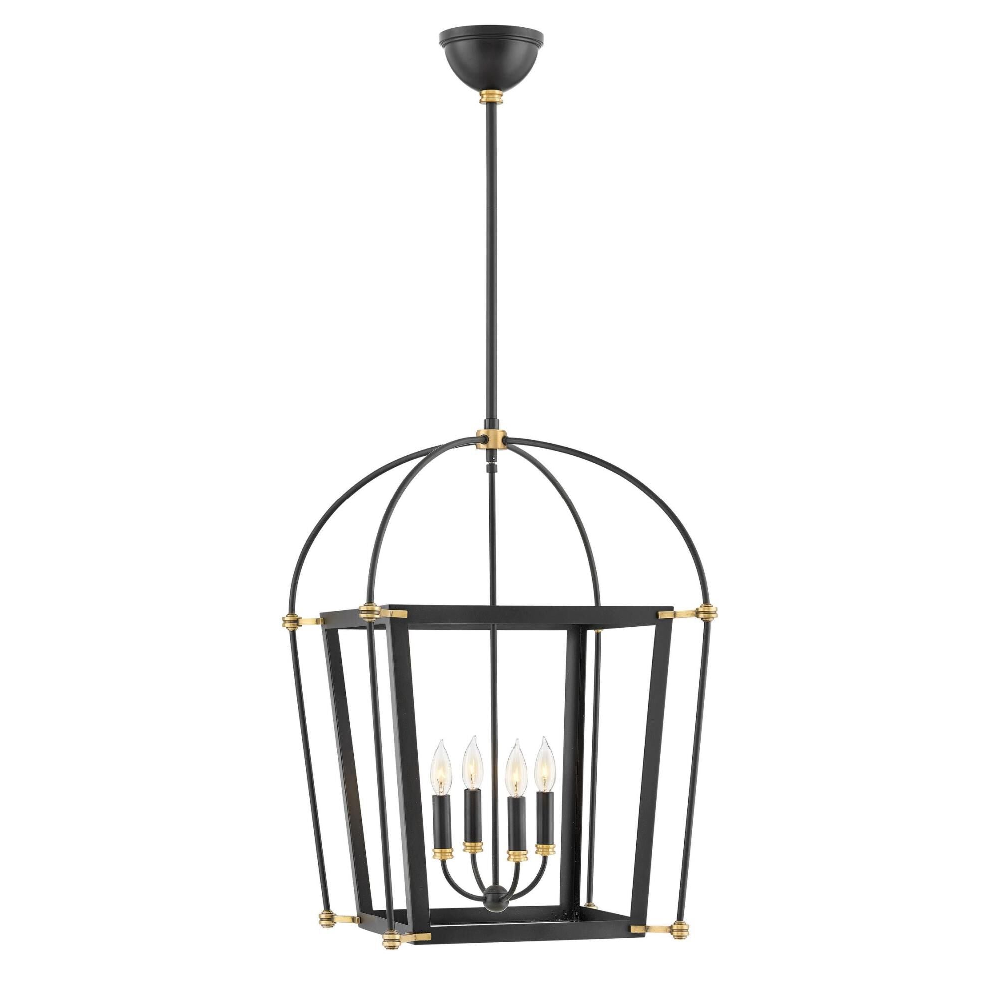 Hinkley Lighting Selby 20 Inch Cage Pendant Selby - 4055BK - Transitional