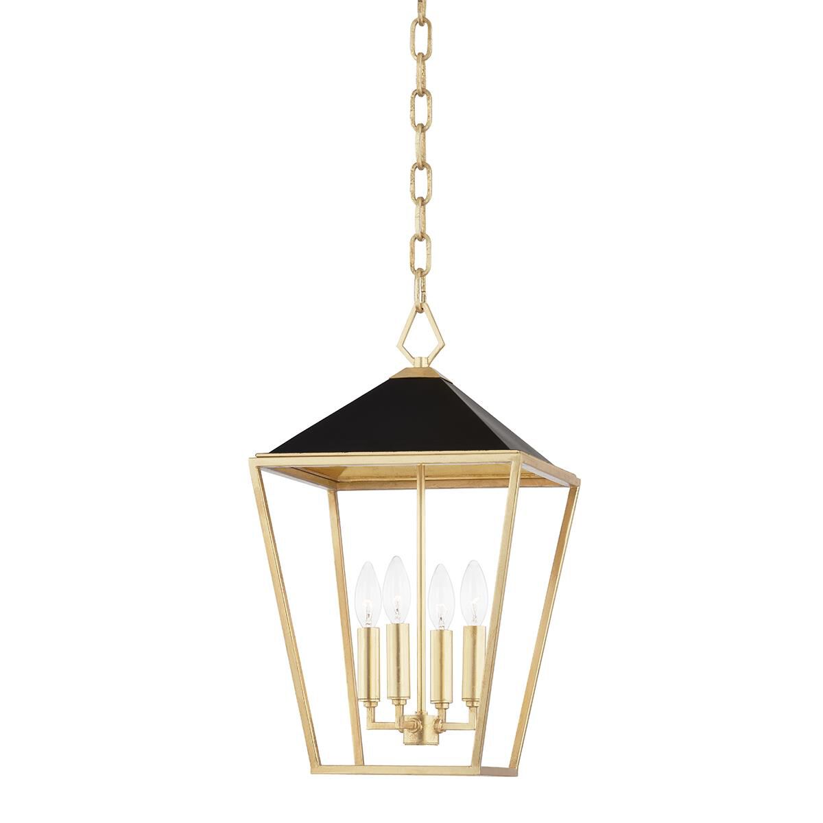 Hudson Valley Lighting Paxton 12 Inch Cage Pendant Paxton - 5713-GL-BK - Transitional