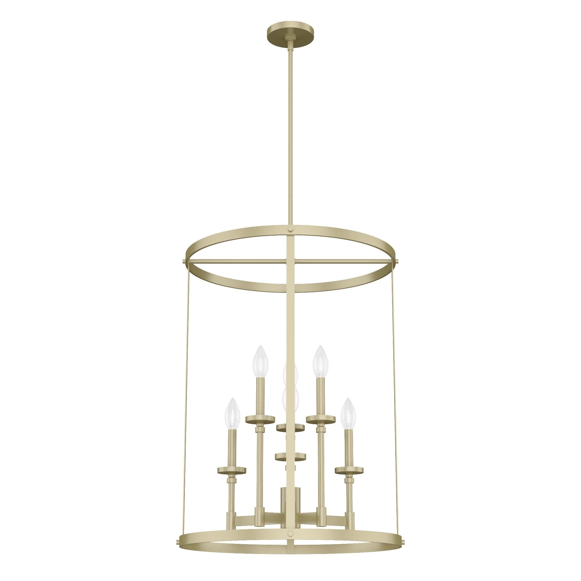 Hunter Fan Briargrove 21 Inch Cage Pendant Briargrove - 19699 - Modern Contemporary