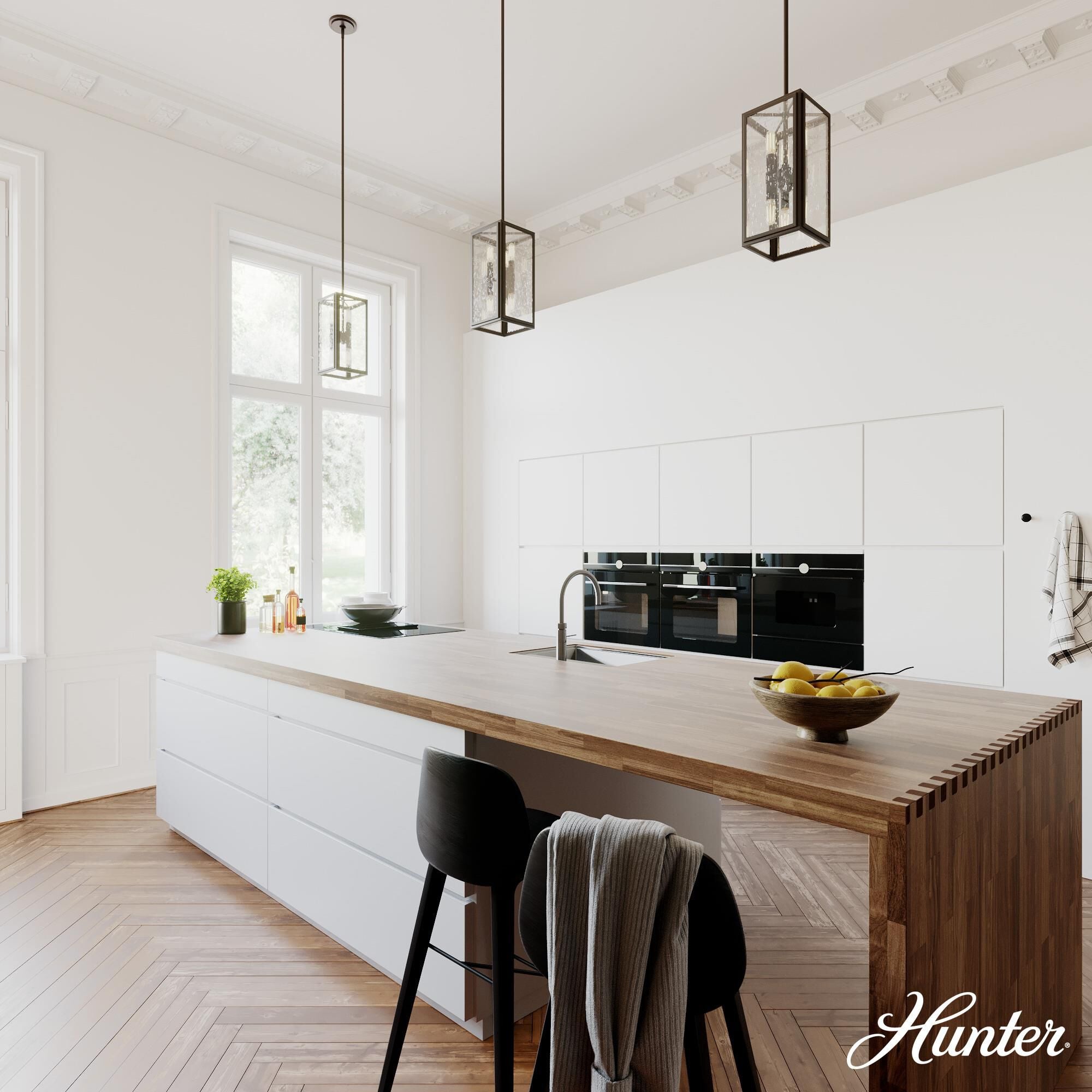 Hunter Fan Felippe 7 Inch Cage Pendant Felippe - 19975 - Industrial