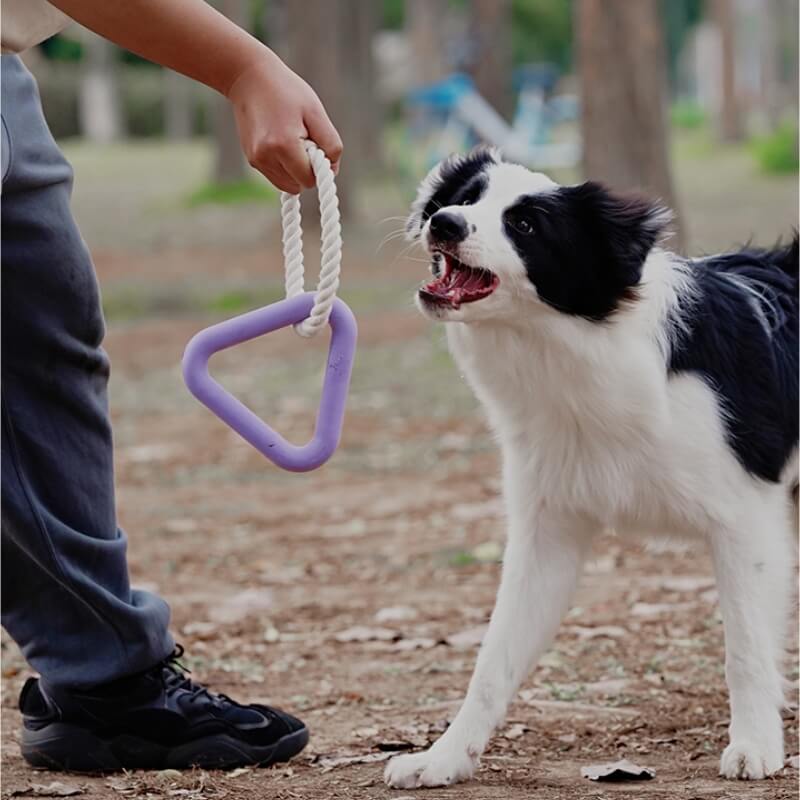 Interactive Tug-of-War Dog Toy Teeth Cleaning Rubber Chew Toy, Triangle - Purple