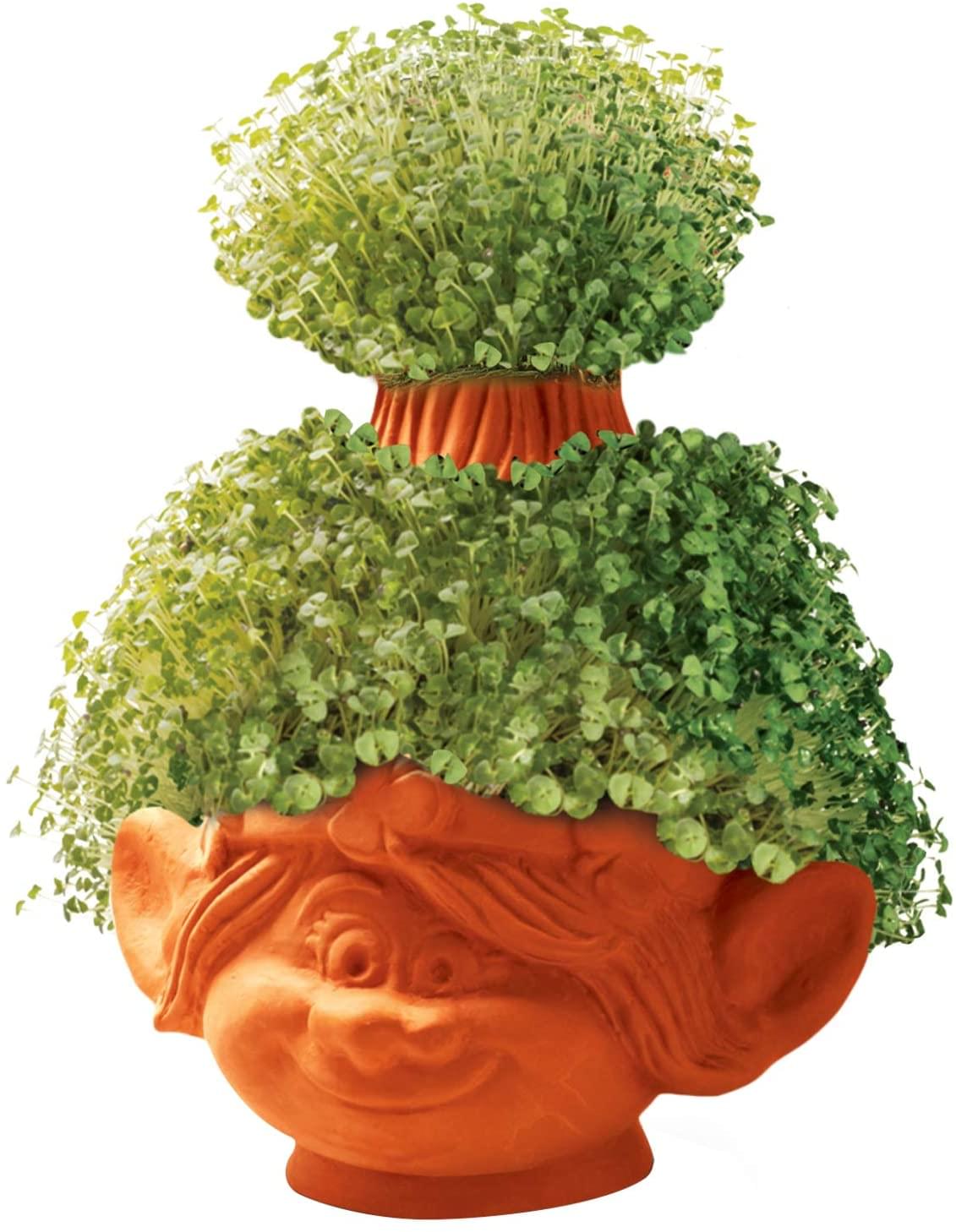 Trolls World Tour Poppy Chia Pet Decorative Planter