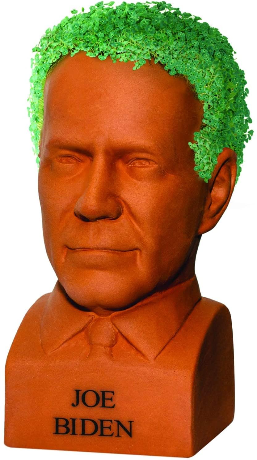 Joe Biden Chia Pet Decorative Planter