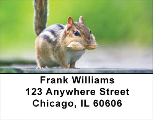 Chipmunks Everywhere Address Labels