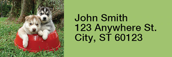 Sled Dogs Rectangle Address Labels