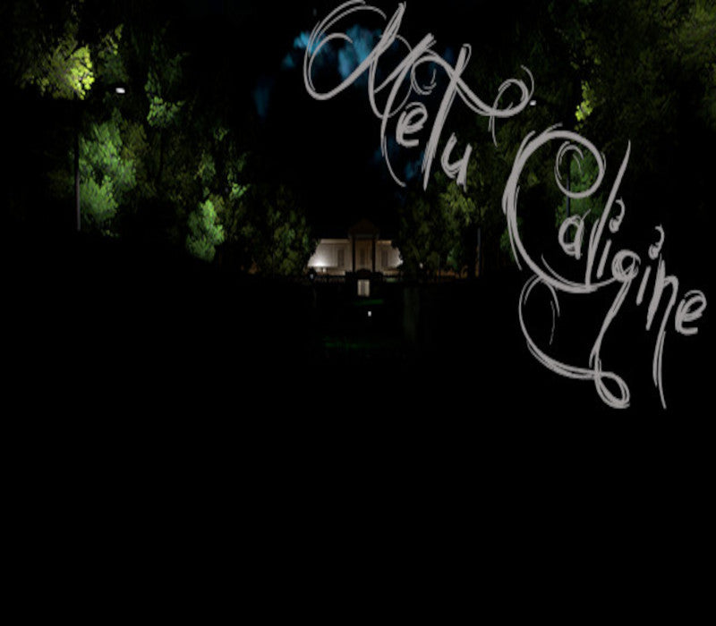 Metu Caligine PC Steam CD Key