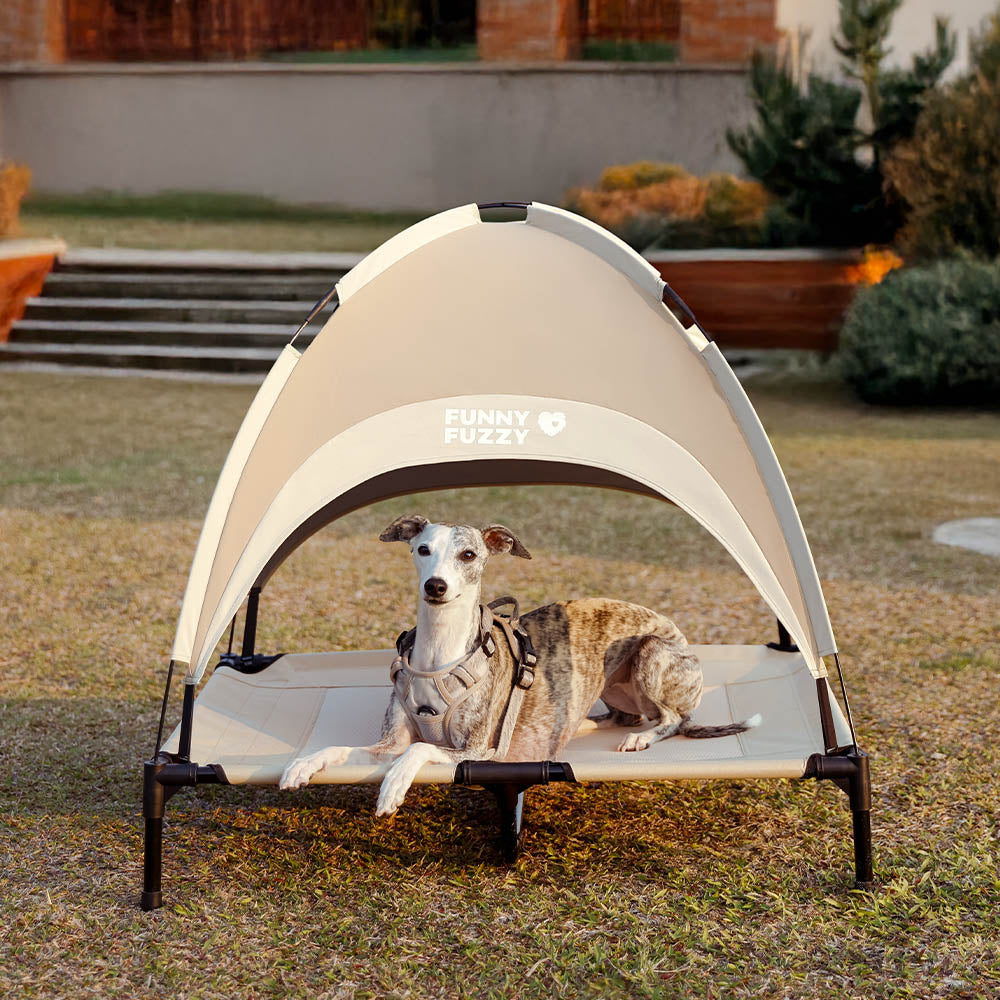 Multi-Functional Breathable Cooling Elevated Dog Bed with Canopy - PawAir, Khaki - L
