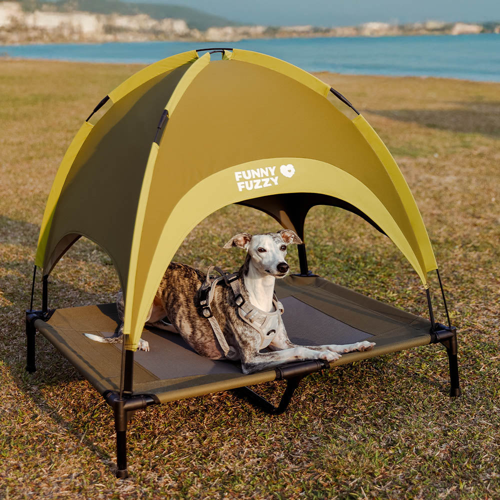 Multi-Functional Breathable Cooling Elevated Dog Bed with Canopy - PawAir, Green - L