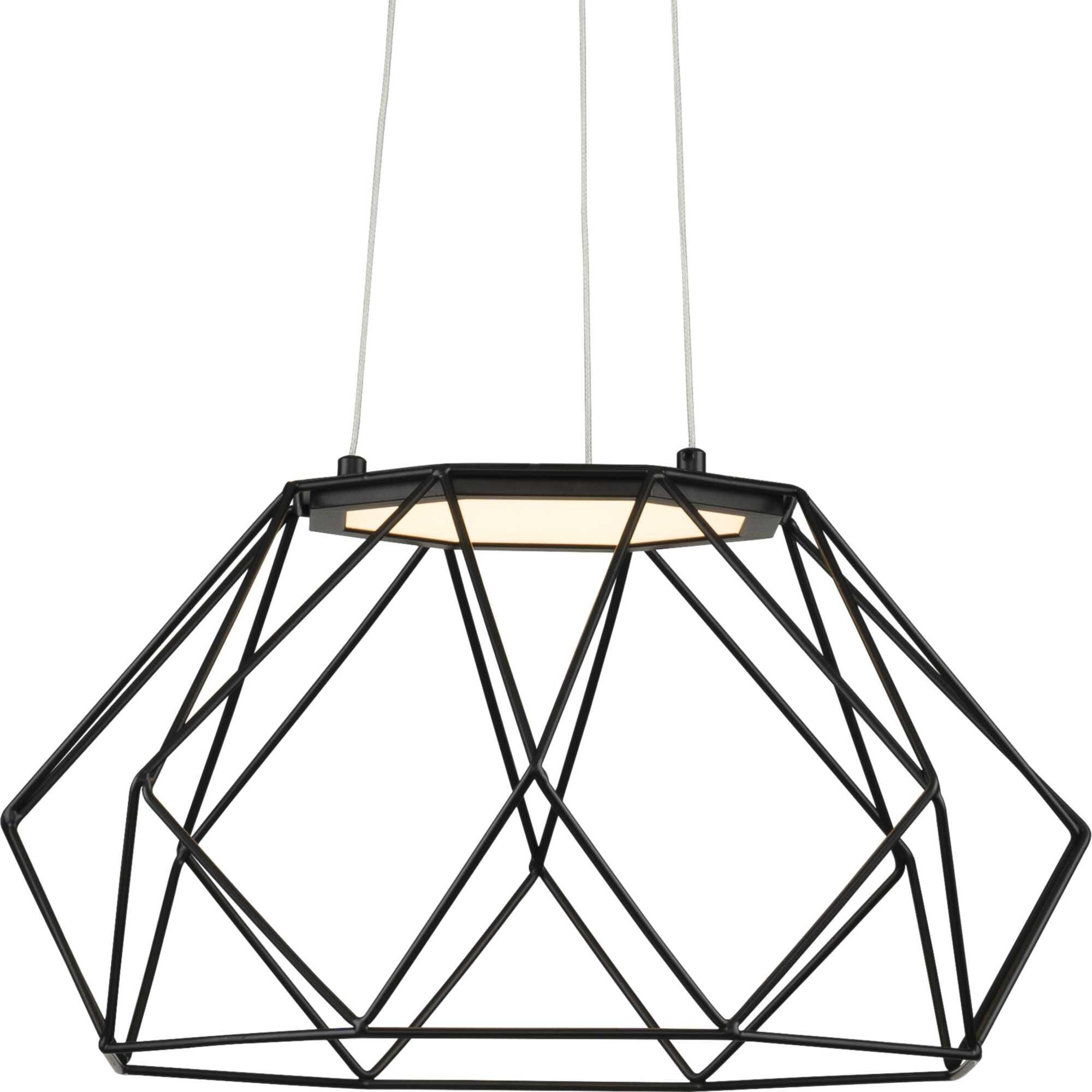 Progress Lighting Geodesic 17 Inch LED Cage Pendant Geodesic - P500319-031-30