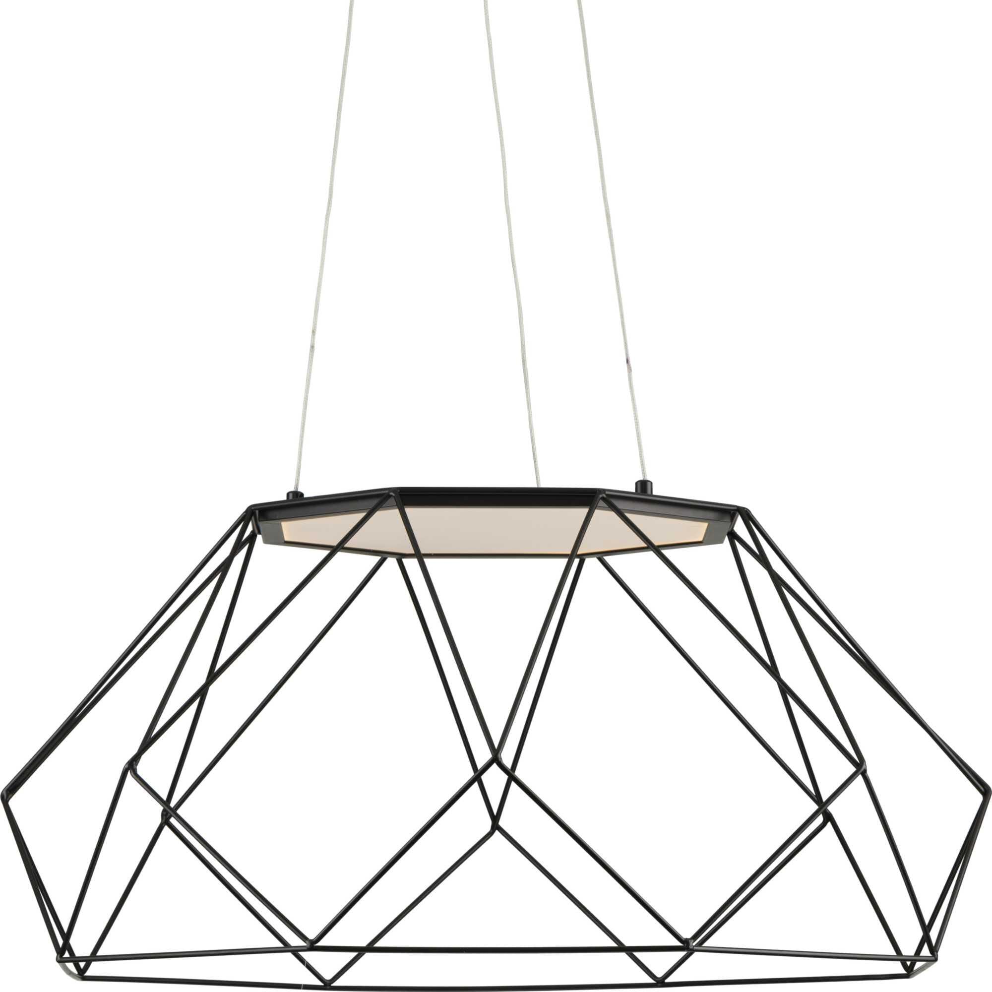 Progress Lighting Geodesic 27 Inch LED Cage Pendant Geodesic - P500320-031-30