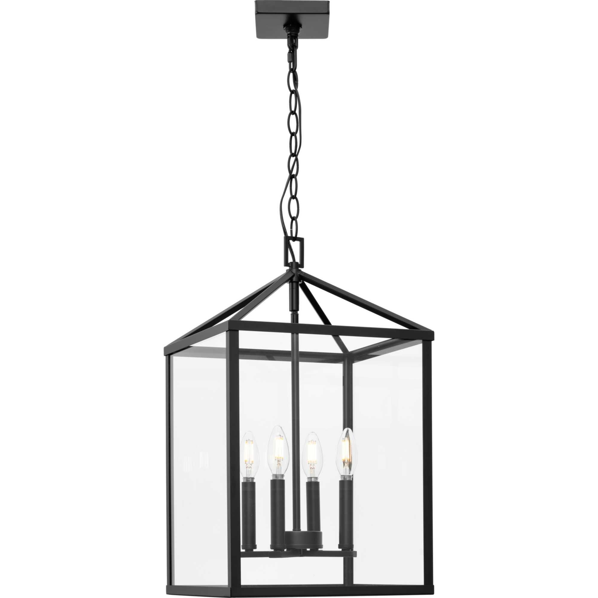 Progress Lighting Hillcrest Cage Pendant Hillcrest - P500440-31M - Transitional