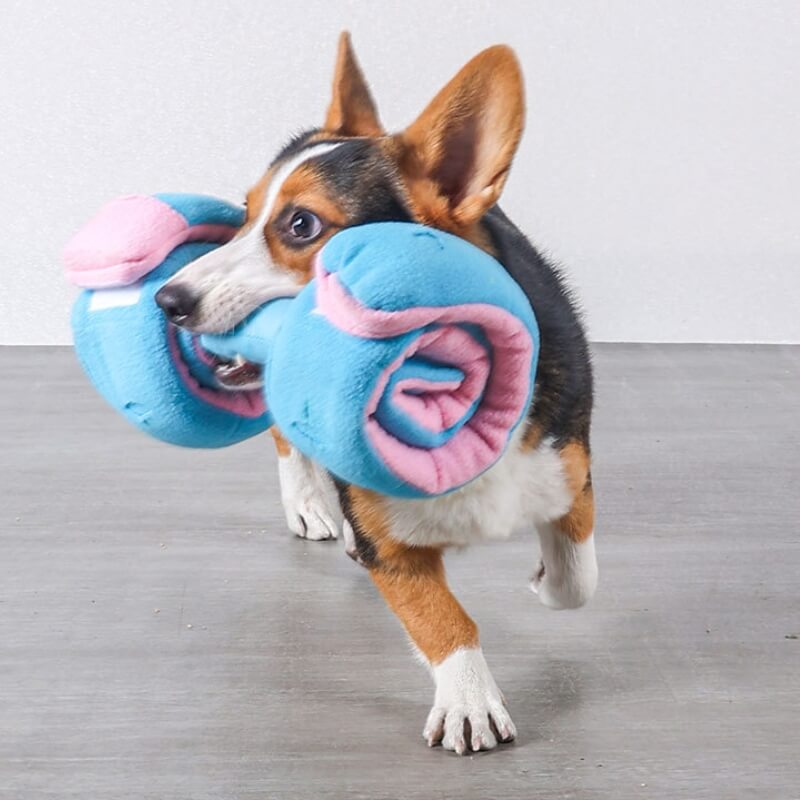 Puzzle Food Dispenser Interactive Dog Dumbbell Treat Toy, Blue