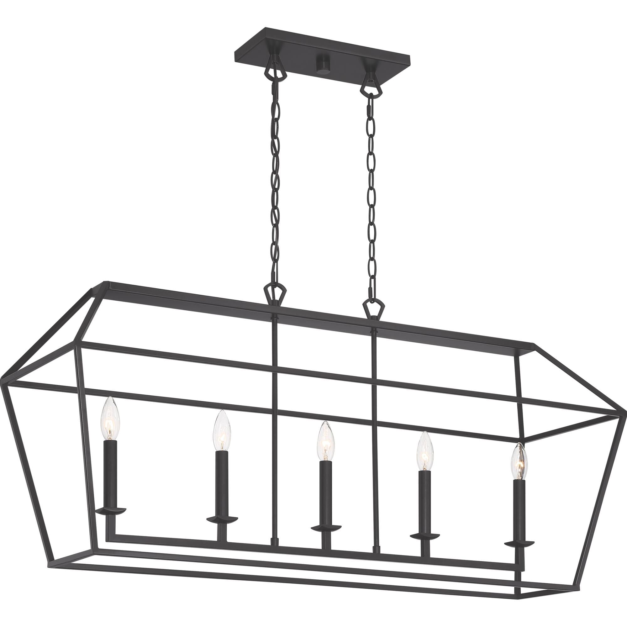 Quoizel Aviary 42 Inch 5 Light Linear Suspension Light Aviary - AVY542PN - Transitional