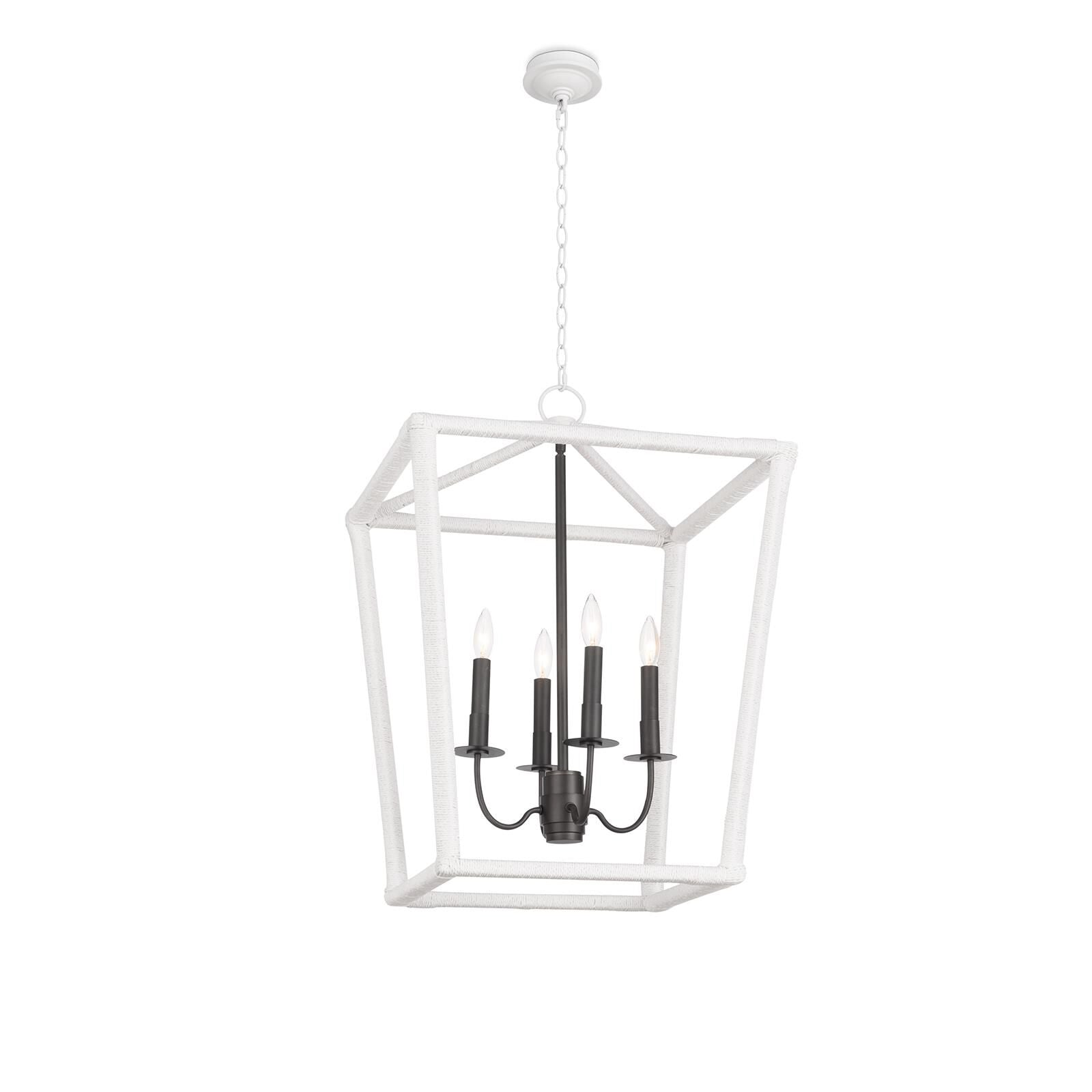 Regina Andrew Luella 21 Inch Cage Pendant Luella - 16-1450 - Modern Contemporary