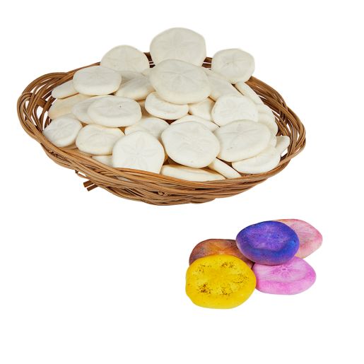 Natural Sand Dollars, Set of 50