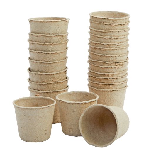 Decorate Your Own Seeds Pots, Set of 24