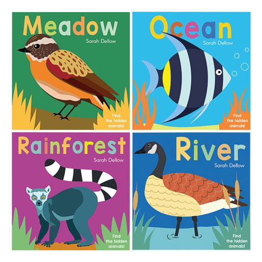 Now You See It - Set of 4 Board Books