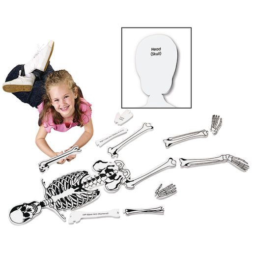 Foam Skeleton Floor Puzzle - 15 Pieces