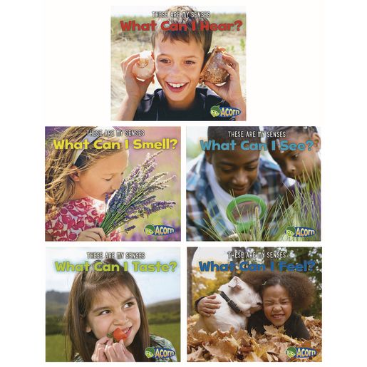 The Five Senses Paperback Books - 5 Titles