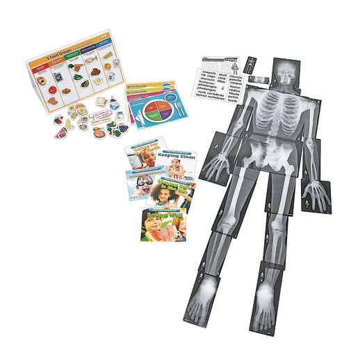 Excellerations® Science Kit - Health and Human Body