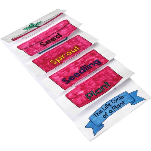 Build Your Own Flip Books? - Life Cycle Of A Plant