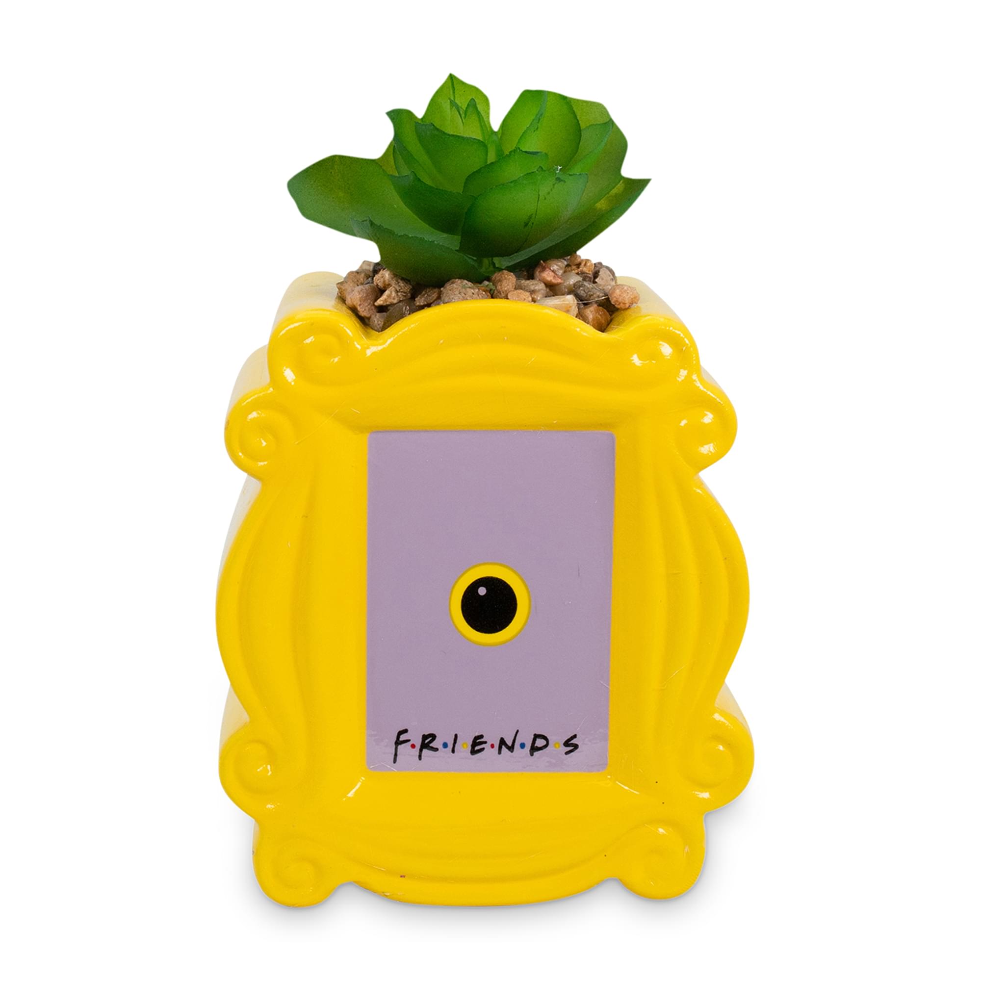 Friends Peephole Frame 3" Ceramic Mini Planter with Artificial Succulent
