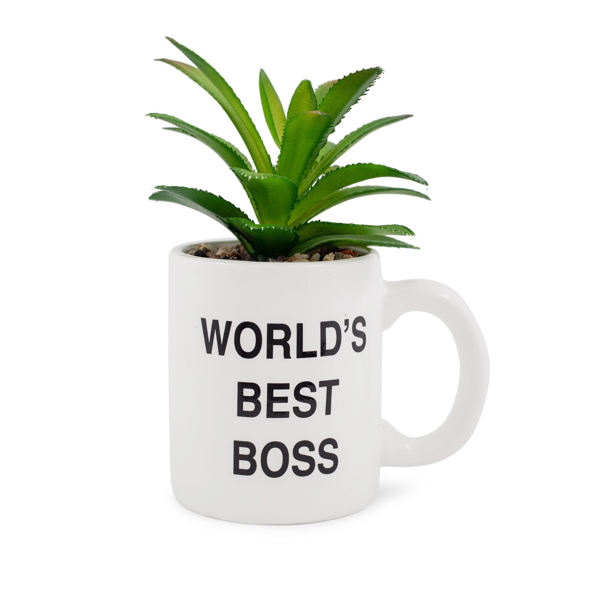 The Office "World's Best Boss" 3" Ceramic Mini Planter With Artificial Succulent