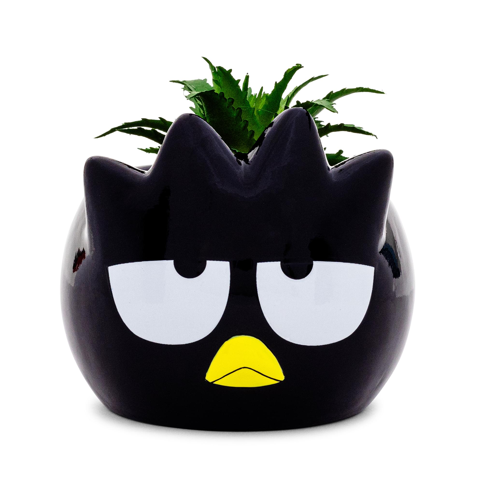 Sanrio Badtz-Maru 3" Ceramic Mini Planter With Artificial Succulent