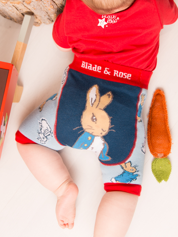 Blade & Rose Peter Rabbit Seaside Shorts 0-6 Months Summer Clothes For Babies & Toddlers Matron Inn