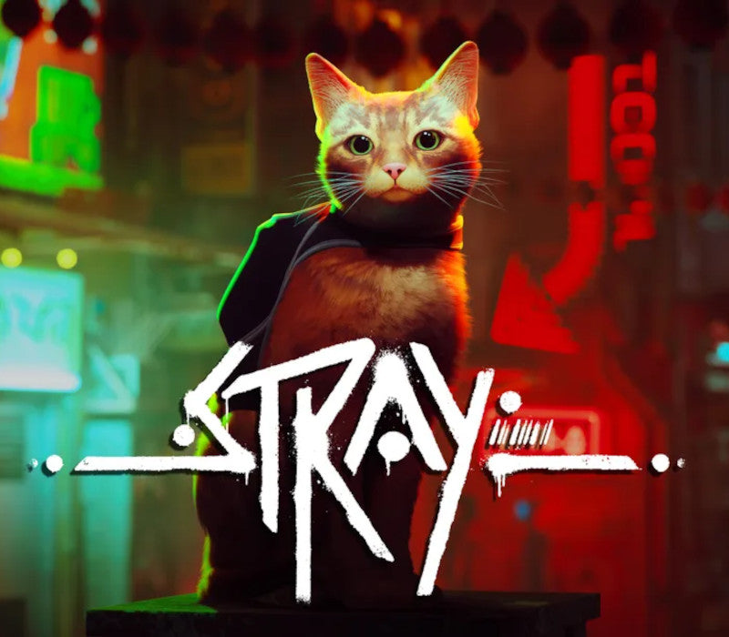 Stray AR XBOX One - Xbox Series X|S - Windows 10 CD Key