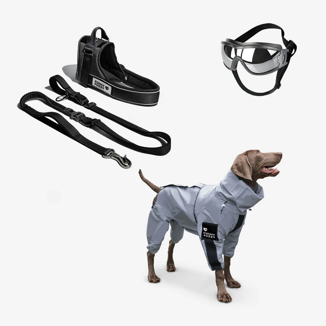 Reflective All-weather Waterproof Cool Dog Accessories Rain Coat, Swag & Safe Dog Walk Set - Black - L - L