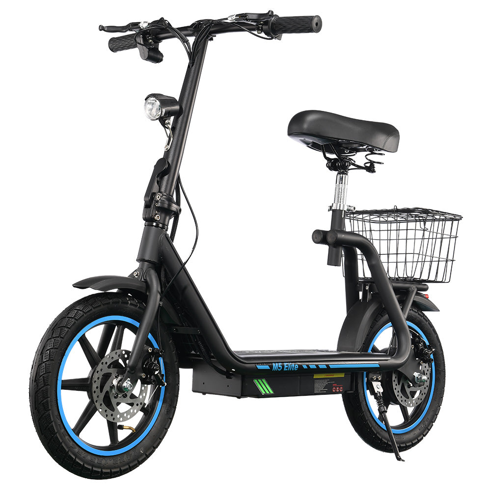 TWOFISH M5 Elite Electric Scooter 500W 48V 13Ah