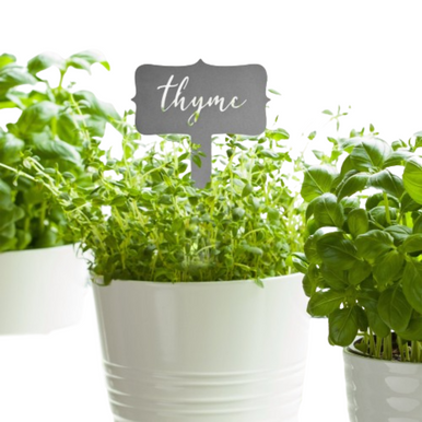 Window Garden Markers Herb Plant Identification Stakes (Choose 5)