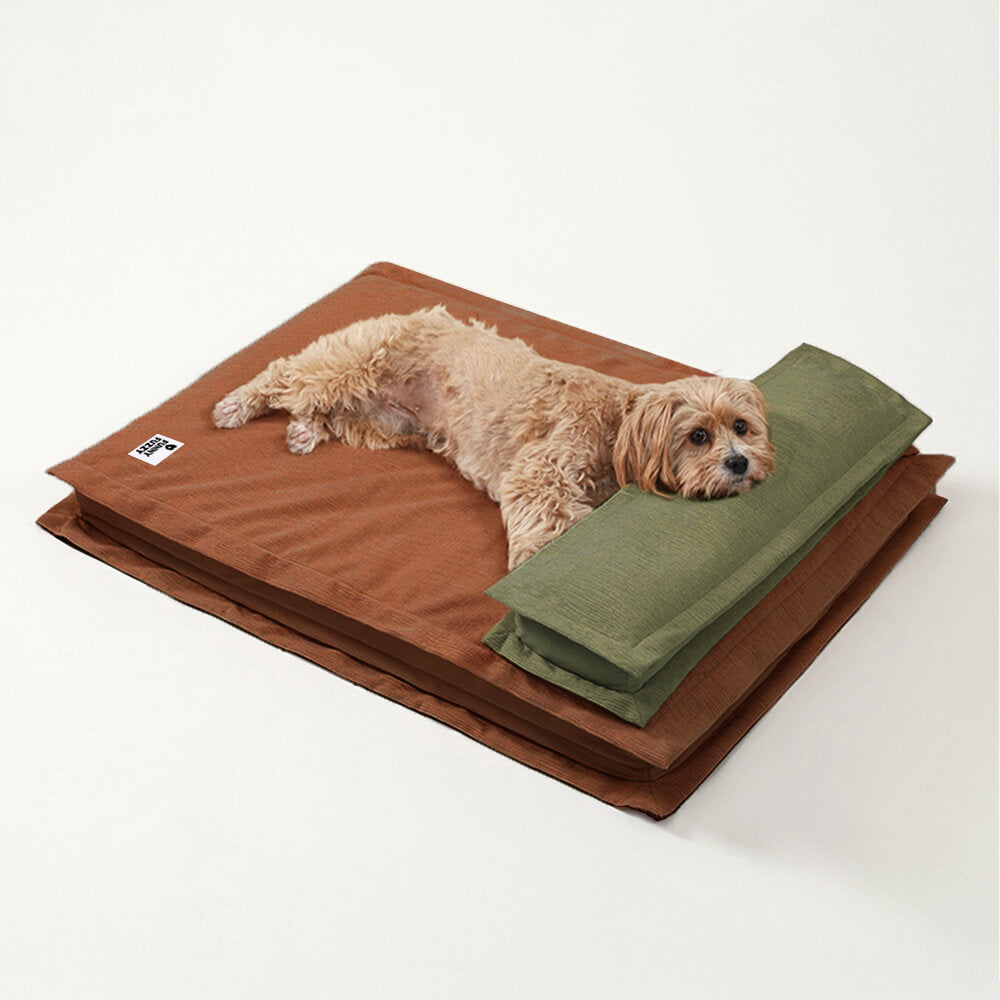 Anti-Anxiety with Sponge Support Deep Sleeping Dog Bed, Orange Green - M