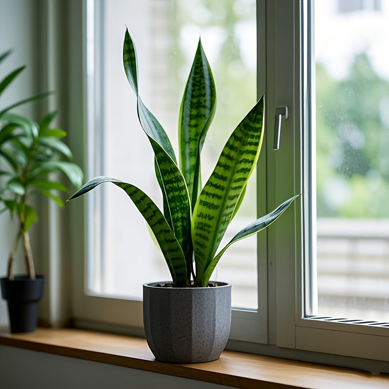 TEMU Artificial Plant, Uv Resistant Fake Outdoor-indoor Decor For Garden, Office, Home, Restaurant - No Container Needed, 's Day, Easter,