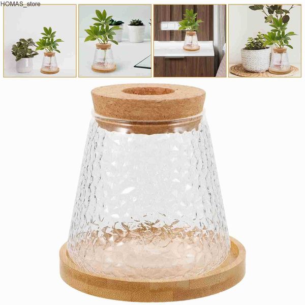 Planters Pots Micro Landscape Glass Bottles With Cover Fresh Green Succulent Moss Bottle Glass Vase Glass Terrarium Bonsai Home Desktop Deco