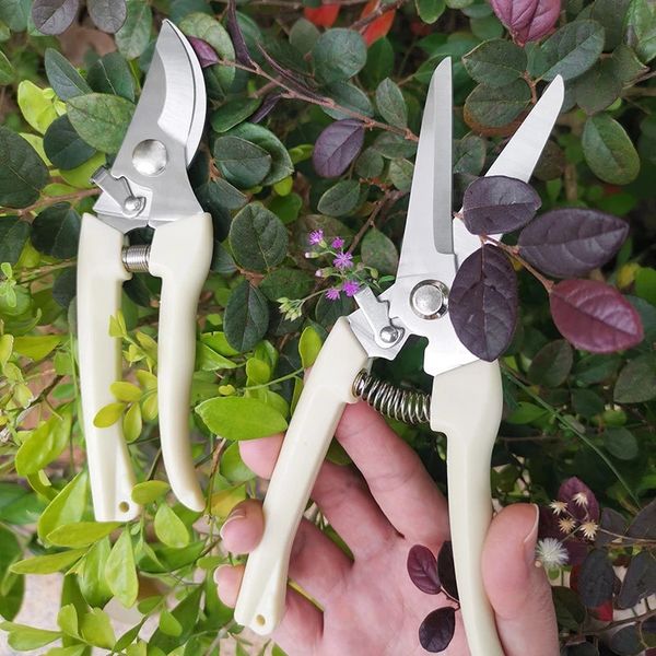 Pruning Pliers Picking Fruit Flower Tree Shears Garden Branch Grafting Garden Scissors Hand Tool