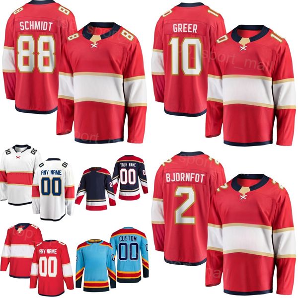 Youth Men Woman 2024 Hockey Adam Boqvist Jerseys Jesper Boqvist 2 Tobias Bjornfot MacKenzie Entwistle 10 A. J. Greer Jaycob Megna Tomas Nose