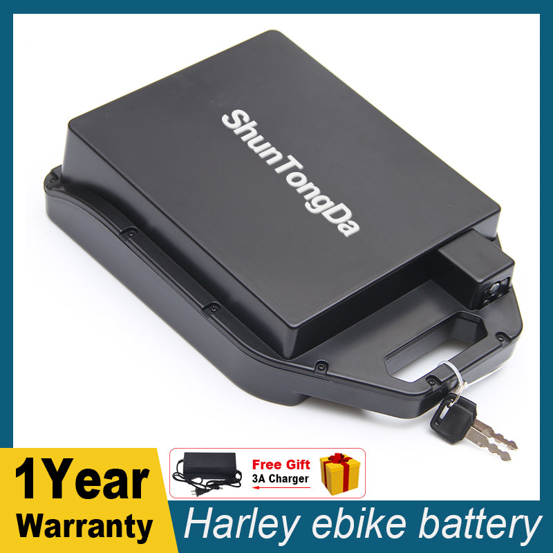 60V Harley ebike Battery 20Ah 48V 30Ah for Two Wheels Foldable Citycoco Electric Scooter Bike