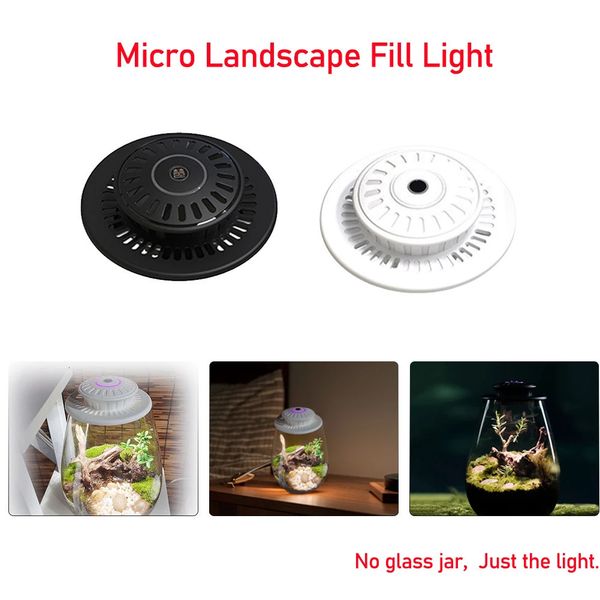 Micro Landscape Plant Growth Lamp with Timer Desktop Miniature Plant Growing Light for Indoor Plants Succulents Mini Bonsai 250106