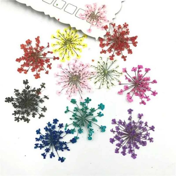 30Pcs Pressed Natural Dried Plants Dry Flower Necklace DIY Craft Jewelry Making Accessories Artificial Flower Decorations NailT250122