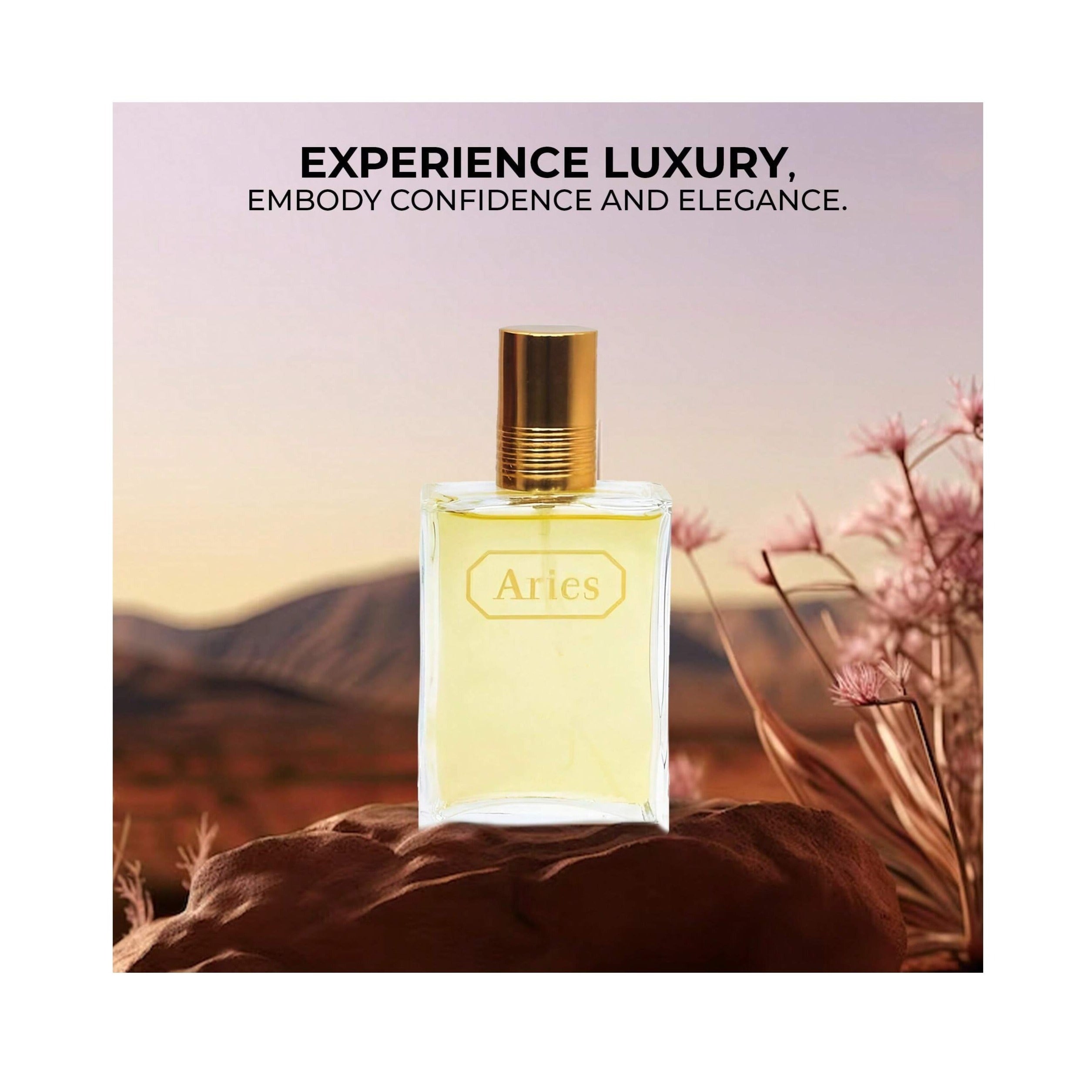 TEMU Aries Men's Cologne, Long Scent Eau De Toilette, 3.4 Fl Oz Perfume For Men Used