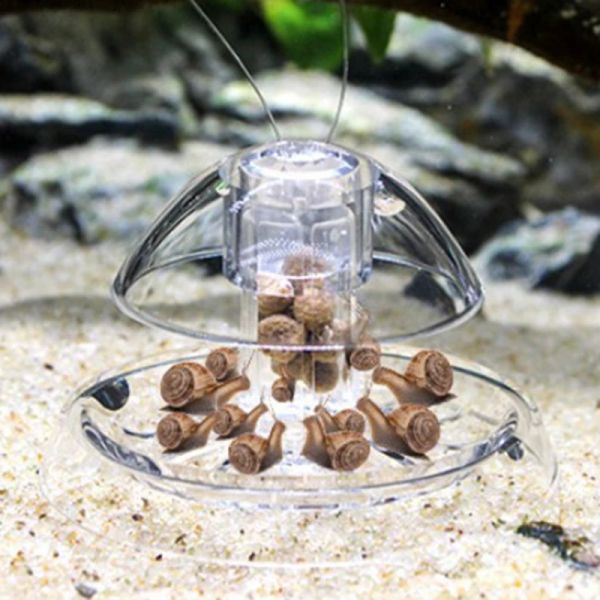 Snail Catcher Aquarium Snail Trap Plants Planaria Pest Catch Box For Aquarium Fish Tank Snail Removal Device
